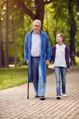 Wall Mural - Young carer granddaughter walking in the park with disabled grandfather .