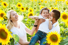 A Happy Family Plays In Sunflowers.