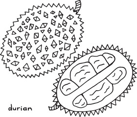 Wall Mural - Durian coloring page. Graphic vector black and white art for coloring books for adults. Tropical and exotic fruit line illustration.