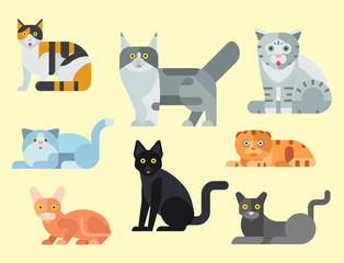 Wall Mural - Cats vector illustration cute animal funny decorative kitty characters feline domestic kitten trendy pet drawn