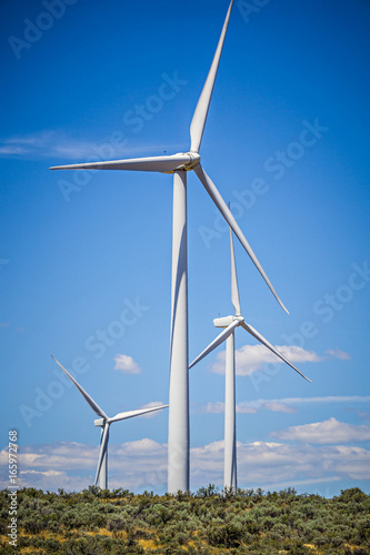 Fotografie, Obraz wind turbines generating electricity on a windy sunny day