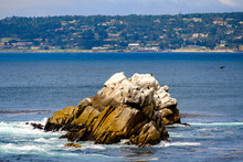 Brown And White Rocks Jut Out Of The Ocean On The California Coast