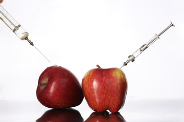 Genetically modified foods, apple pumped with chemicals