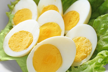 Wall Mural - Sliced hard boiled eggs with lettuce, closeup. Nutrition concept