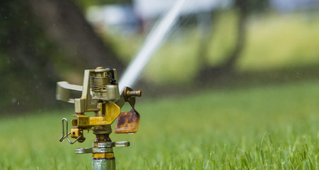 Wall Mural - Automatic irrigation system on the background of green grass