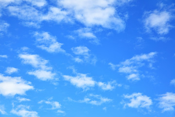 Wall Mural - blue sky and clouds