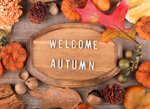 Welcome Autumn Plaque Bordered With Colorful Fall Decor