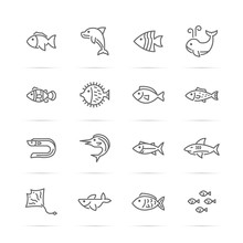 Fish Vector Line Icons