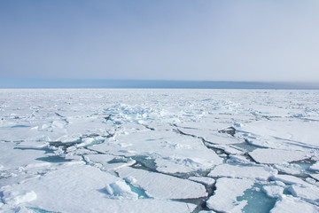 Arctic sea ice.