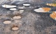 many hole on asphalt road in countryside in rainy season