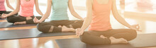 Woman Group Exercising And Sitting In Yoga Lotus Position In Yoga Classes