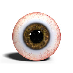 realistic human eye with brown iris isolated on white background