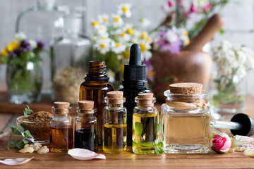 Wall Mural - Selection of essential oils with various herbs and flowers