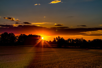 Harvested grain field on countryside at sunset