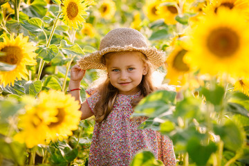beautiful little girl in sunflowers