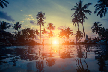 Wall Mural - Silhouettes of palm trees on the sea tropical beach during an amazing sunset.