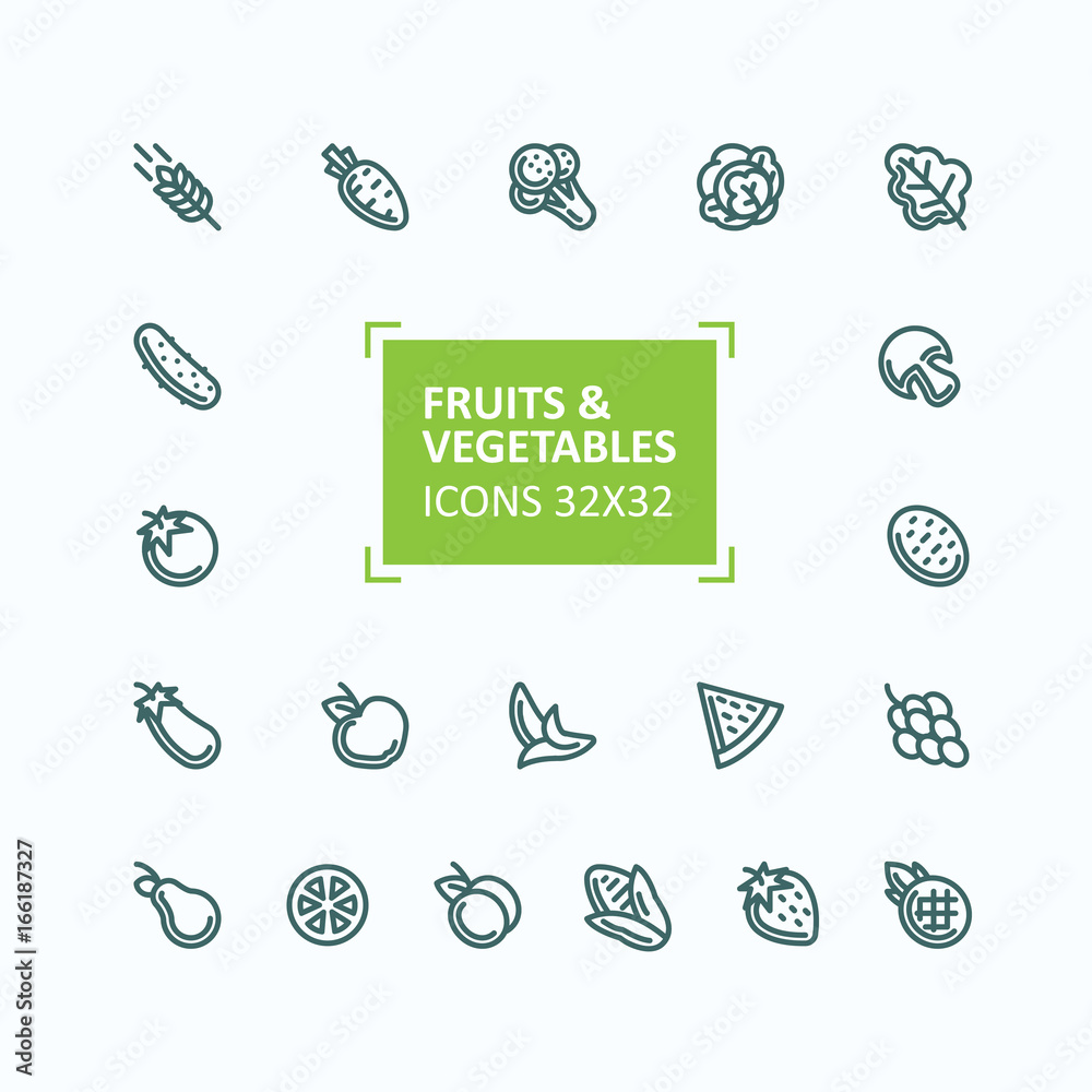Set of vector icons of fruits and vegetables in the style of a thin ...