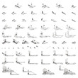 Equipment for the gym isometric icon set