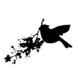 beautiful bird,black silhouette, on a white