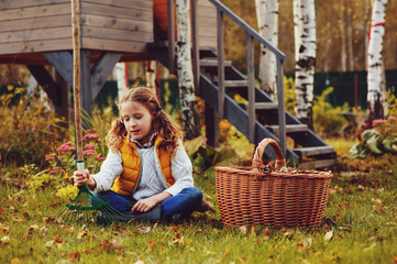 happy child girl playing little gardener in autumn and picking leaves into basket. Seasonal garden work.