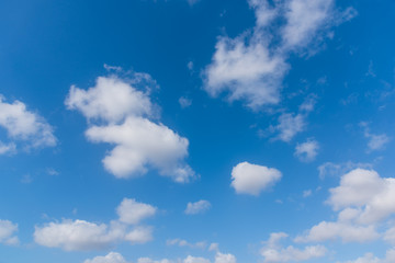 Wall Mural - white clouds and blue sky