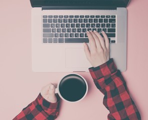 Wall Mural - Freelancer woman typing on laptop