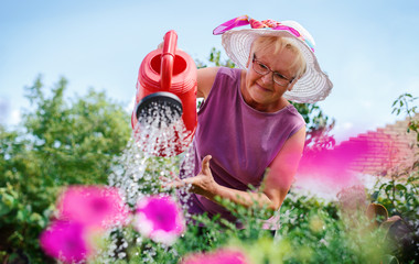 Senior woman working in her garden with a plants. Hobbies and leisure