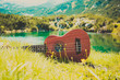 © Alice Fox - Romantic view of the Ukulele guitar at the mountain nature green meadow. Photo depicts musical instrument Ukulele small guitar at the amazing pure mountain lake Shore and the blue sky background.