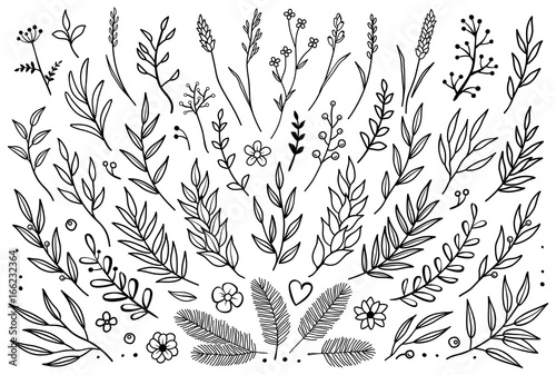 Cuadros en Lienzo hand drawn set of tree branches