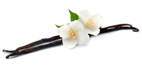 Wall Mural - Vanilla with white flowers.