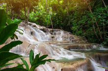 Jamaica Water Fall