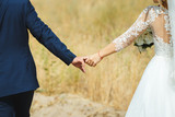 Fototapeta Boho - Hands of the lovers of the bride and groom. Wedding rings