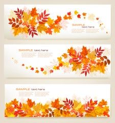 Poster - Set of abstract autumn banners with colorful leaves Vector