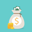 Money saving and money bag icon design, vector illustration