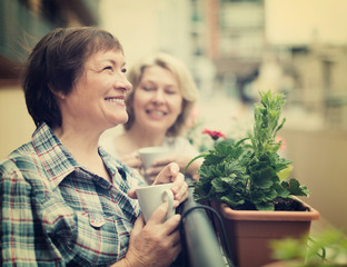 Wall Mural - Two mature housewives enjoying tea at terrace