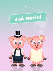 Wall Mural - Wedding of pigs