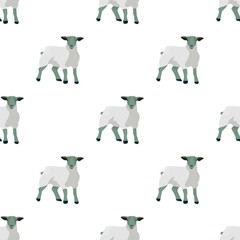 Wall Mural - Little white mountain sheep.Scottish fold sheep.Scotland single icon in cartoon style vector symbol stock illustration.