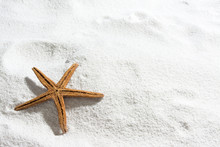 Starfish On White Sand, For Summer Background With Copy Space