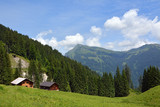 Fototapeta Krajobraz - Bodenvorsäss mit Diedamskopf (2090m), Bregenzerwald