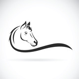 Fototapeta Konie - Vector of a horse head on white background. Wild Animal
