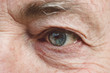 © Alessio Bogani/Stocksy - Trees reflection on the iris of senior man eye
