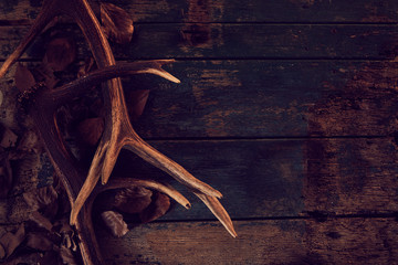 Wall Mural - seasonal stag antlers on dark woodgrain