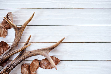 Wall Mural - seasonal winter antlers and leaves on wood