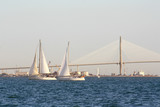 Fototapeta  - sailing boats on the background of the huge bridge