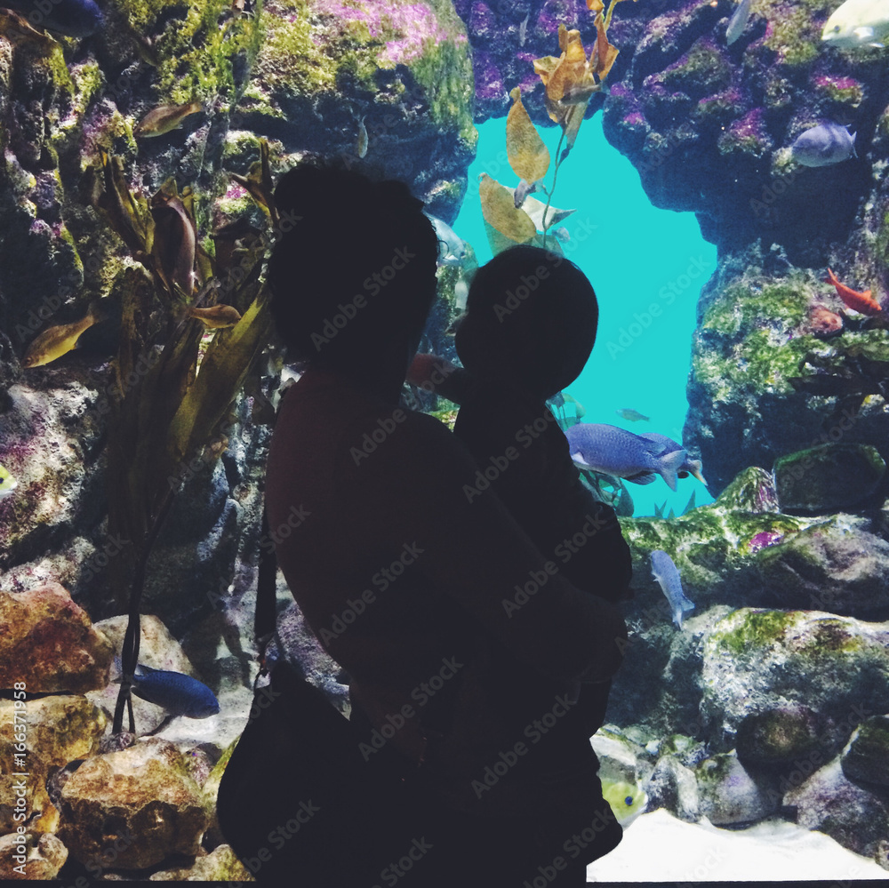 Mother and Son look at fish in an aquarium. Stock Photo | Adobe Stock