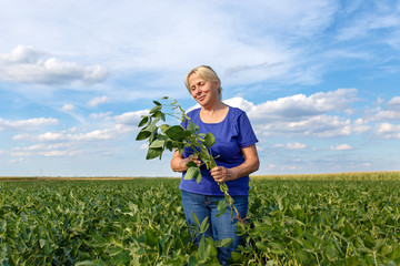 Poster - 	 Senior female farmer standing in a soybean field and examining crop.
