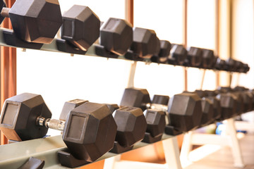 Wall Mural - Set of dumbbells in gym