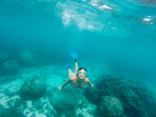 Woman Diving Among Corals In The Sea