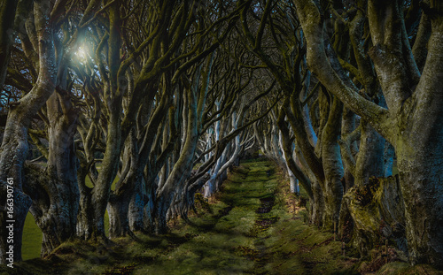 Fotografía "The Kingsroad" from Game of Thrones