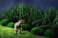 Toy Dinosaur On Grass At Night